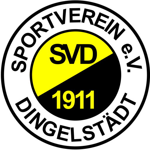 SV 1911 – Mein Verein